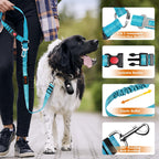 Close up of 360-degree swivel carabiner on dog leash