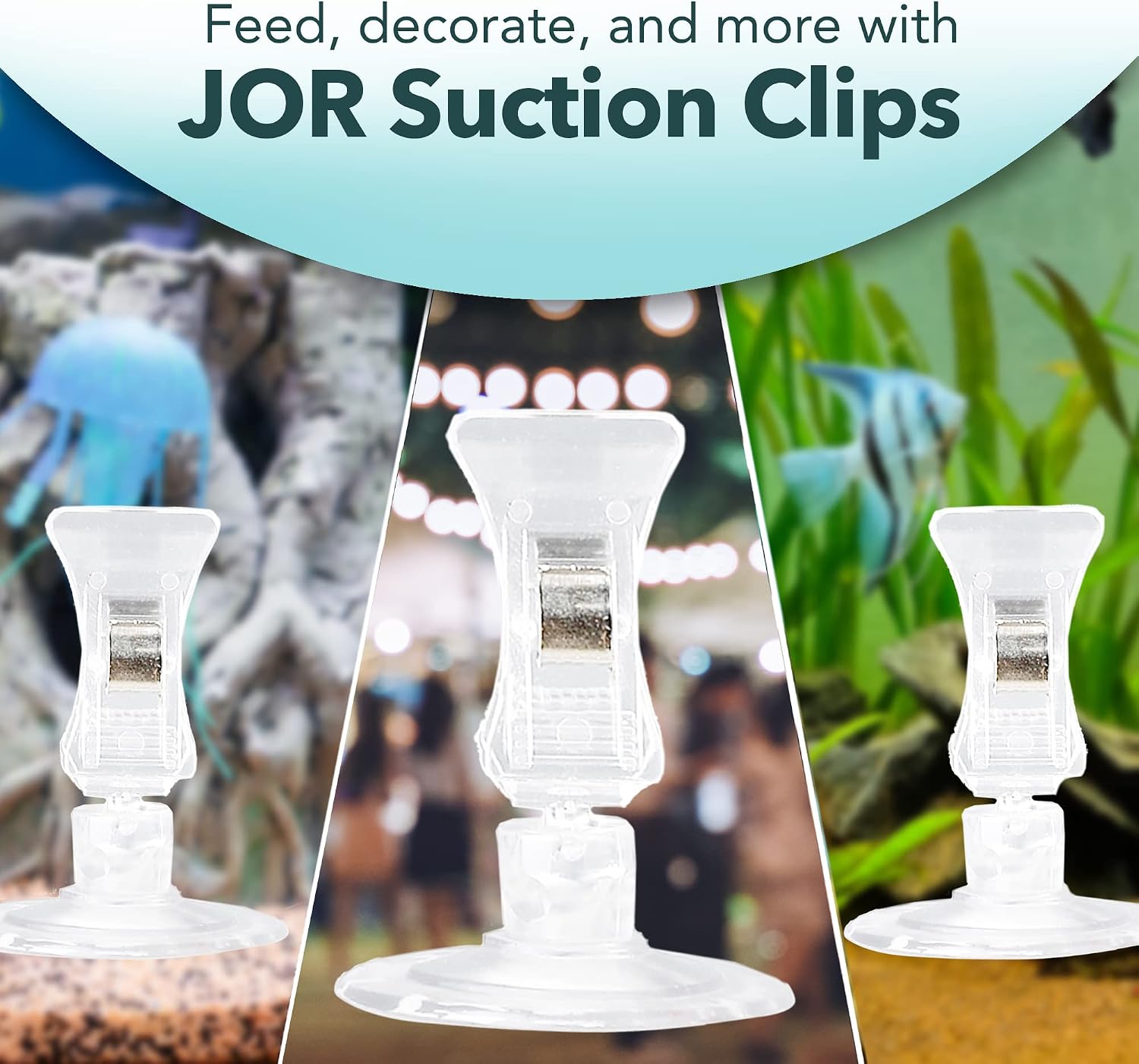 Transparent fish tank round feed holder clamp attached to glass wall.