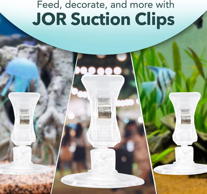 Transparent fish tank round feed holder clamp attached to glass wall.