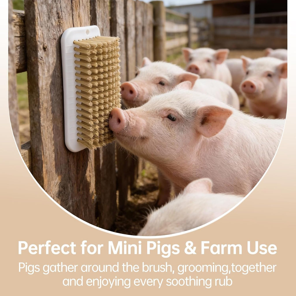 Velqua pig grooming tool installed on a barn yard wall fence