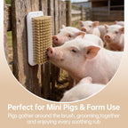 Velqua pig grooming tool installed on a barn yard wall fence