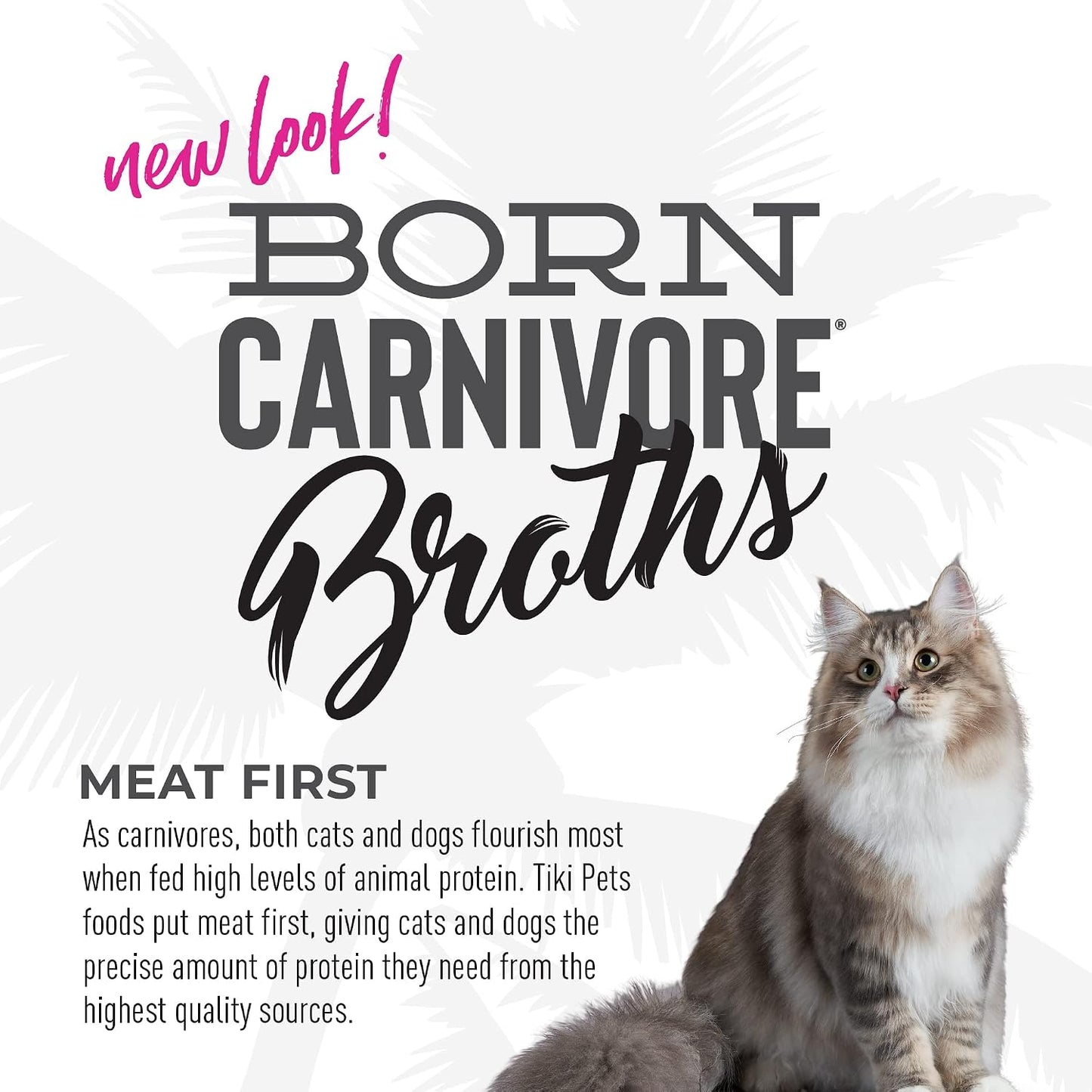 Tiki Cat Born Carnivore Broths Wet Cat Food Toppers, Variety Pack, 1.3 oz. Pouch (12 Count) - Image 9