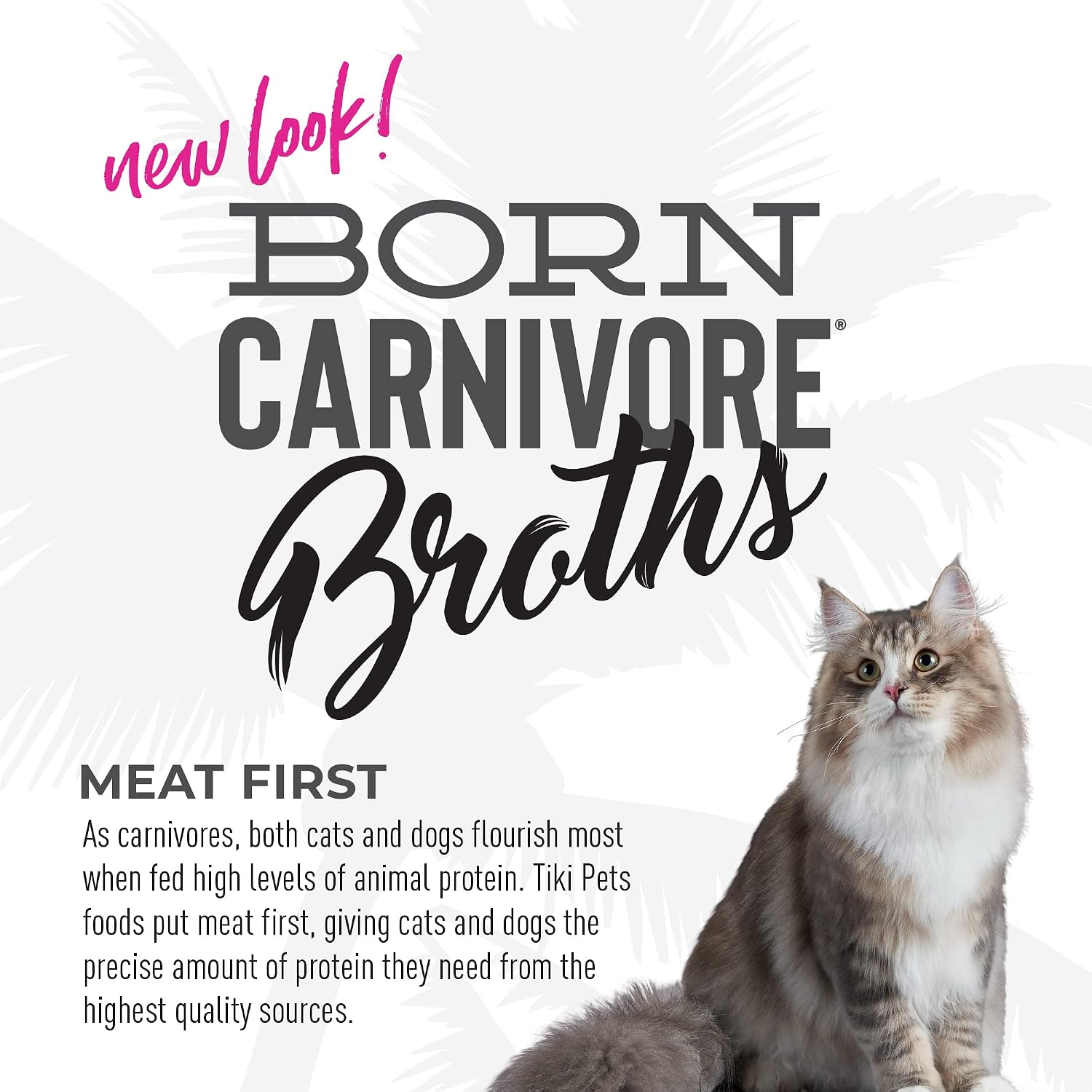 Tiki Cat Born Carnivore Broths Wet Cat Food Toppers, Variety Pack, 1.3 oz. Pouch (12 Count) - Image 9