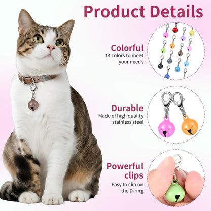Fourteen distinct colors of pet pendant accessories arranged in a neat display