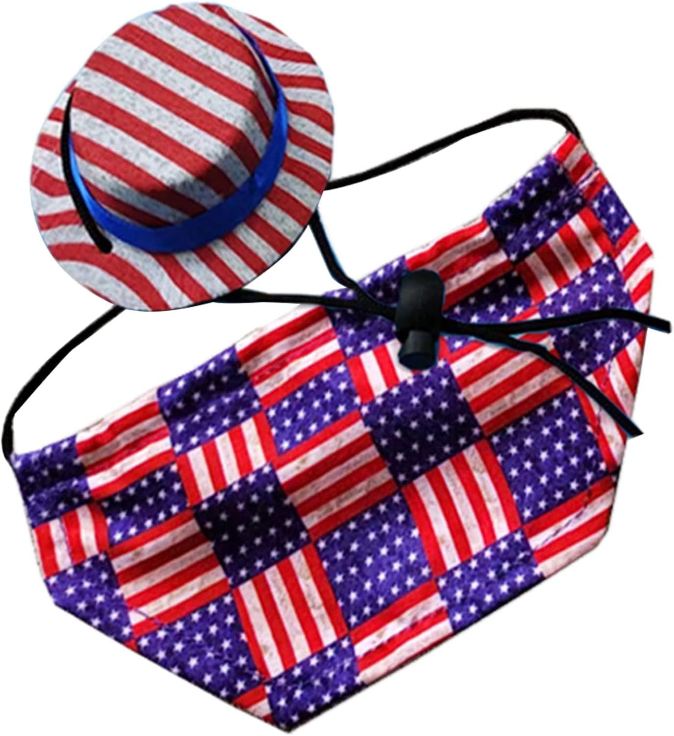WHFCBJBW bearded dragon independence day costume set front view