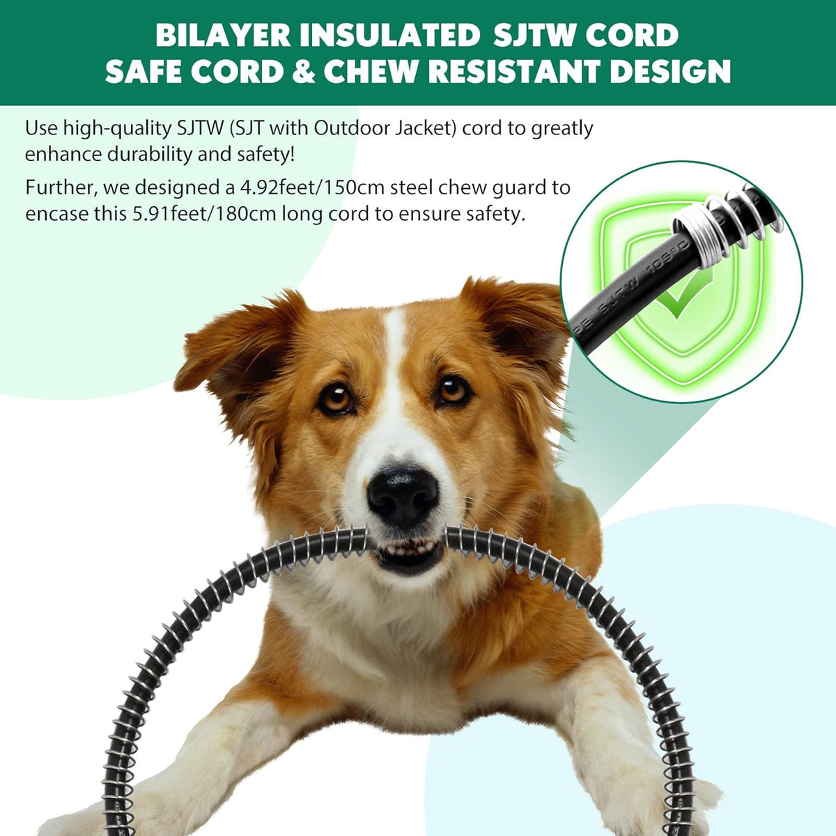 Therapeutic pet heating pad providing joint relief for an older senior dog.