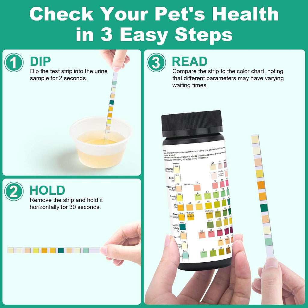 Close up view of the color pads on the SaySummer pet urinalysis testing strip.