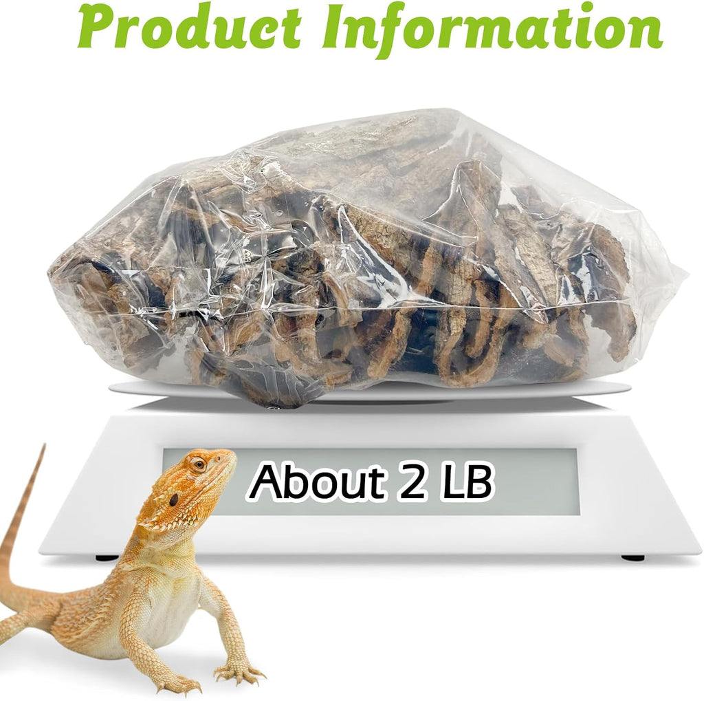 Natural champagne tree cork wood flat bedding for bearded dragons and geckos