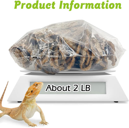 Natural champagne tree cork wood flat bedding for bearded dragons and geckos