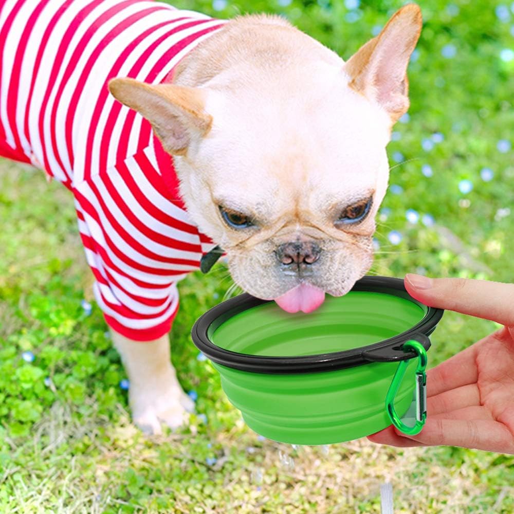 SLSON green collapsible puppy feeding bowl holding dry dog kibble food