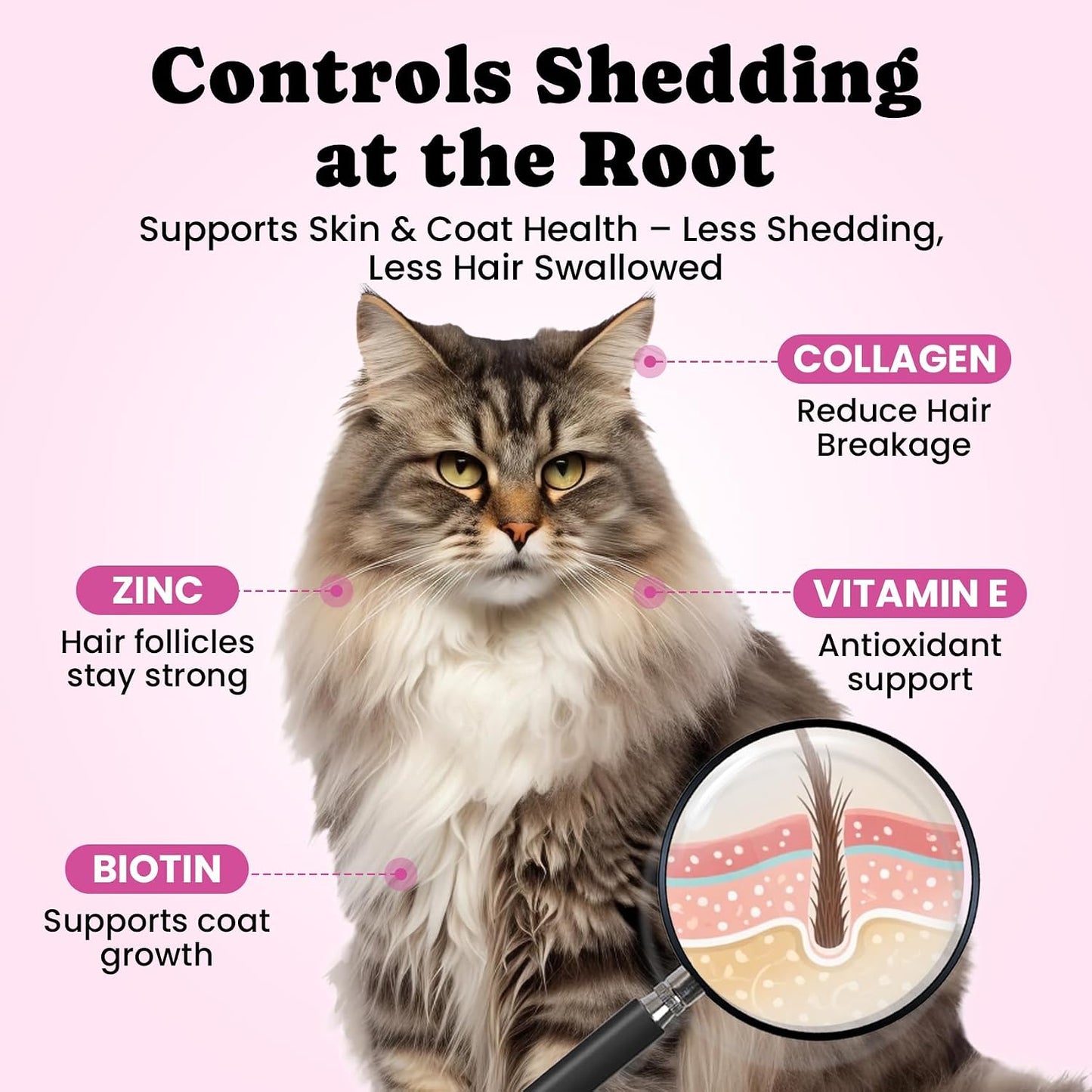 Crunchy outer shell creamy center cat hairball control treat