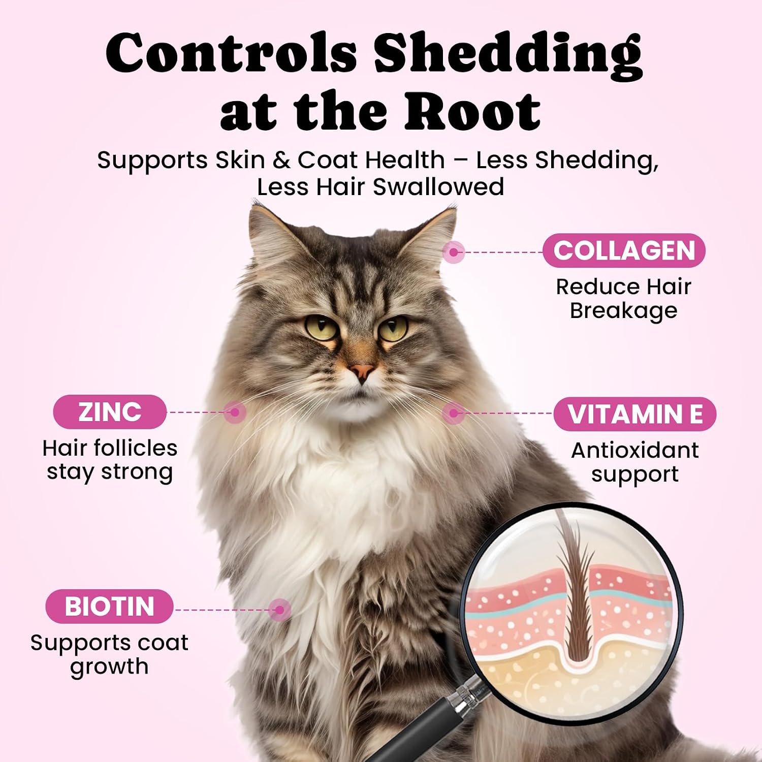 Crunchy outer shell creamy center cat hairball control treat