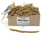 A&E Cage Co AE9054 Premium French Spray Millet for Birds - 6oz Retail Bag with 12 Natural Millet Sprays - Healthy Bird Treat for Budgies, Parakeets, Cockatiels, Finches & Small Birds - Image 9