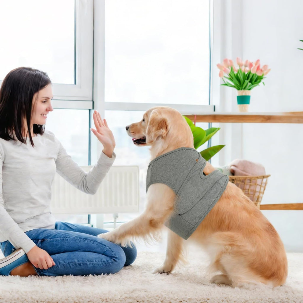 Adjustable hook and loop straps on pet recovery shirt
