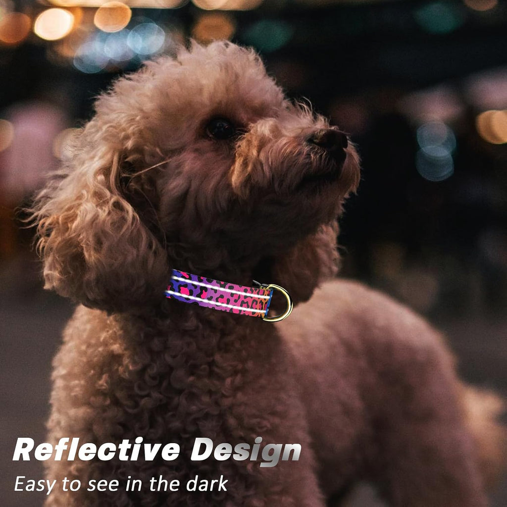 TMOODEL dog collar quick release buckle detail