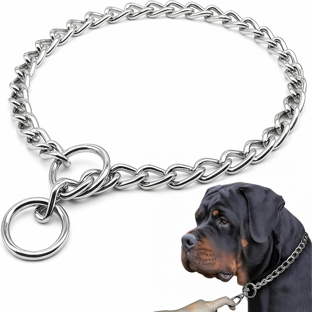 Freezx dog choke collar slip p chain front view on silver background