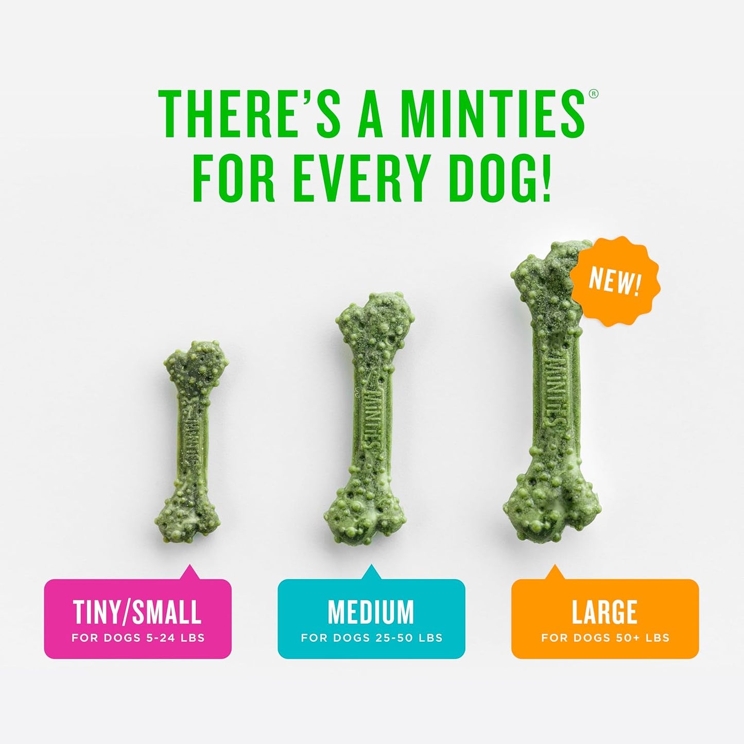 Back label of Minties tiny and small dental bone treats showing the ingredient list.