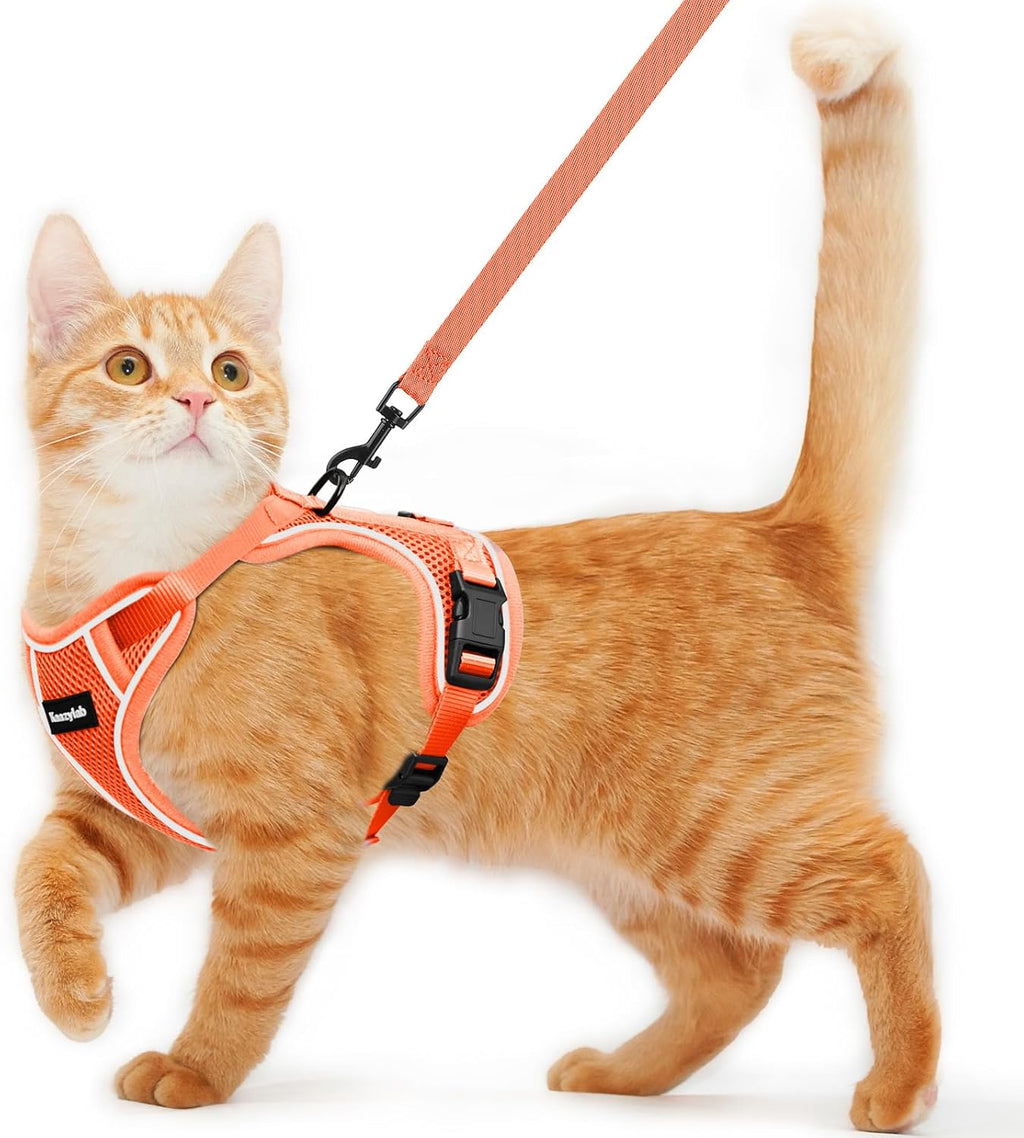 Cat Harness and Leash for Walking Escape Proof Soft Adjustable Cat Leash Breathable Comfortable Vest Easy to Wear Kitten Harness for Outdoor Travel (Black, S (7-12lb)) - Image 14