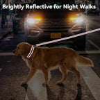 Joytale dog collar showing soft neoprene padding interior
