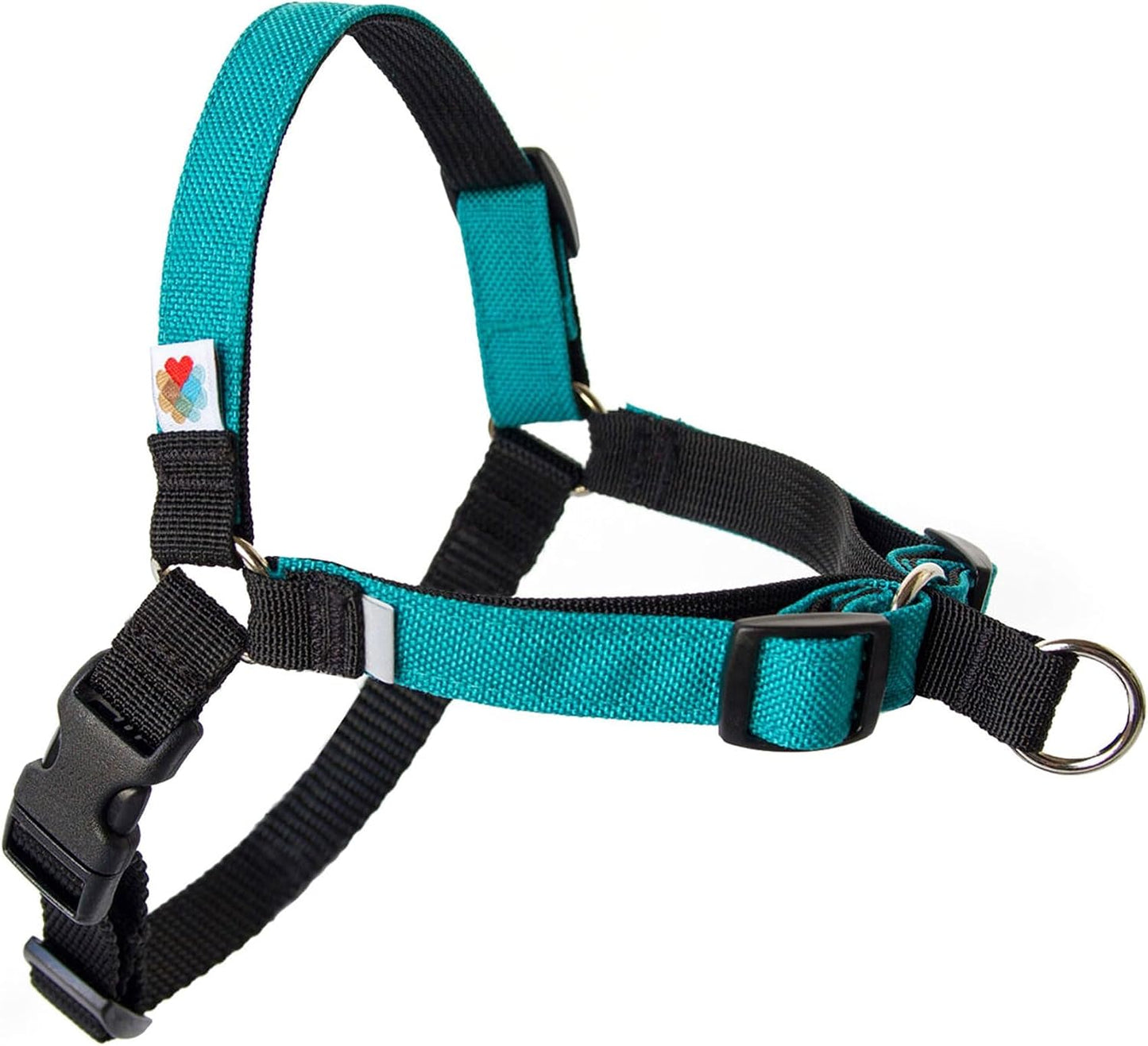Wildebeest Linden No Pull Dog Harness in turquoise front view