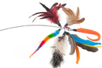 Cat playing interactively with the bouncy wire wand and dangling feathers