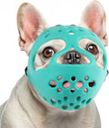 Barkless medium cyan muzzle for short snout dogs front view