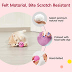 Cat playing with silent felt catnip ball toy