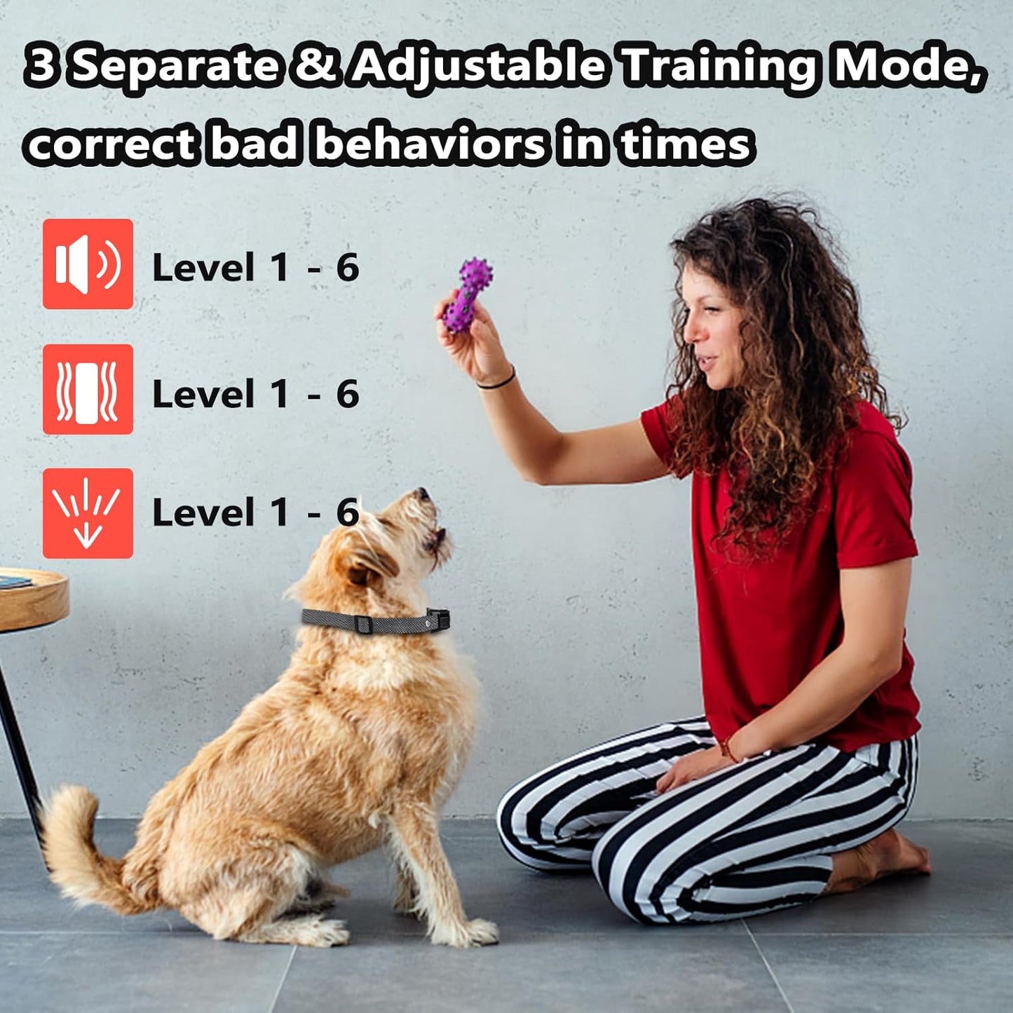 Supernight bark training collar features spray and vibration modes
