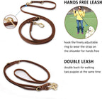 Guiding Star dual dog leather leash setup showing how to walk two dogs simultaneously.