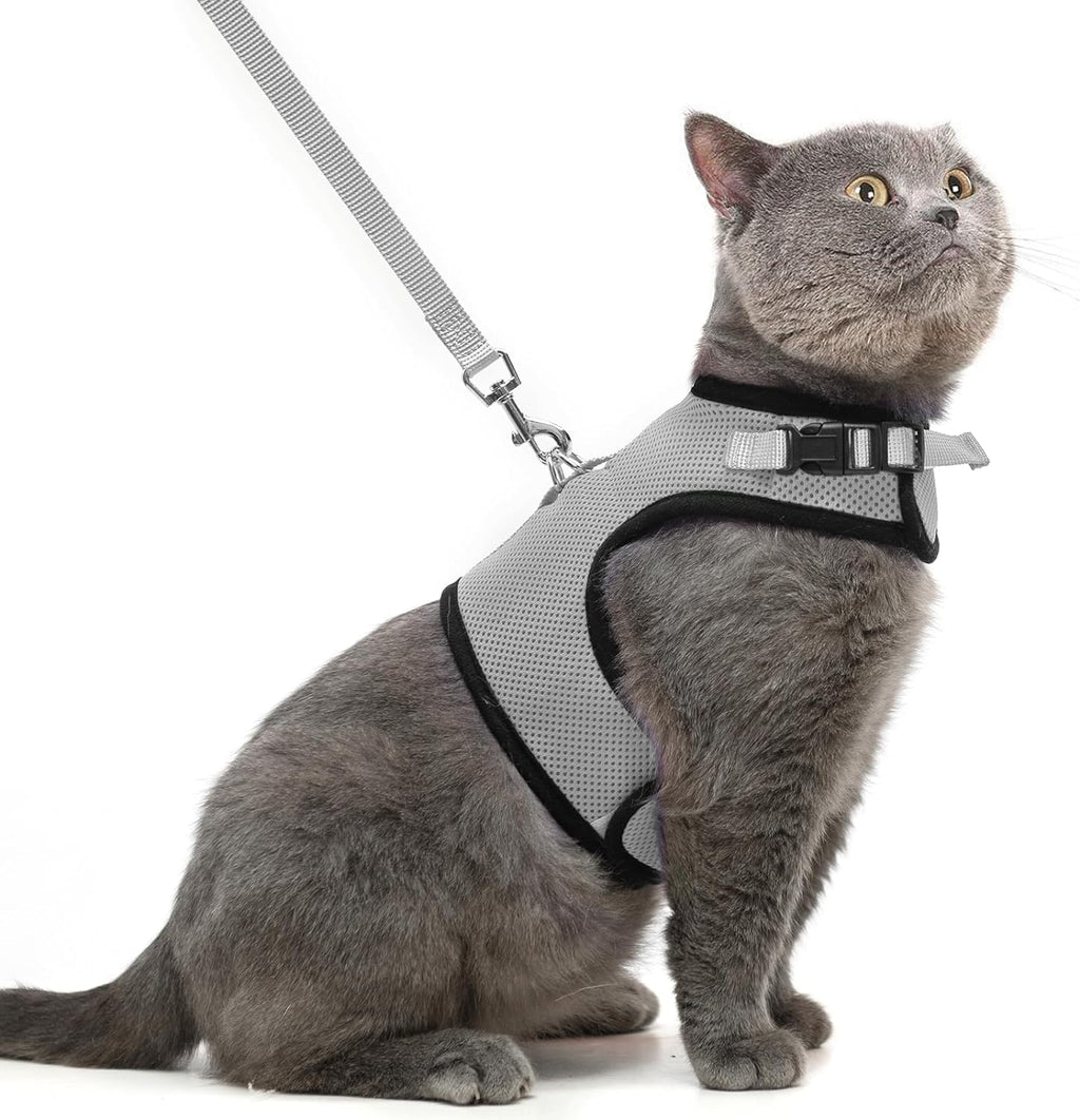 PUPTECK Soft Mesh Cat Vest Harness and Leash Set Puppy Padded Pet Harnesses Escape Proof for Cats Small Dogs (X-Large, Lake Blue) - Image 15