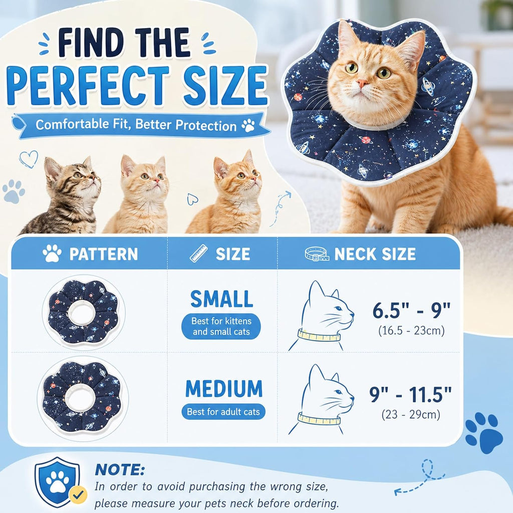 Kitten eating from a bowl easily while wearing the Mechpia protective collar.