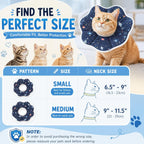 Kitten eating from a bowl easily while wearing the Mechpia protective collar.