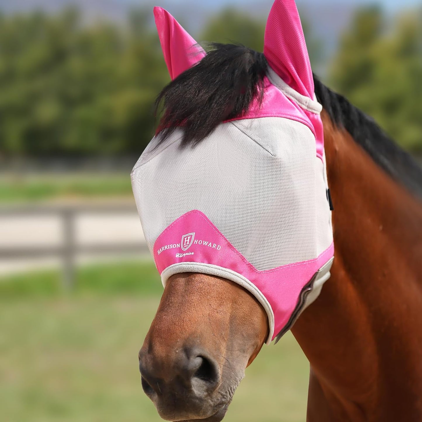Harrison Howard half face horse fly mask magenta front view