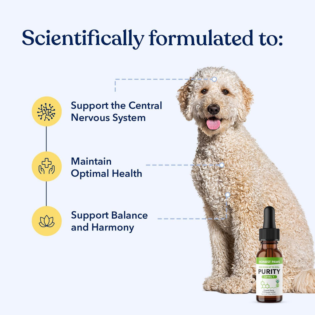 Honest Paws dog hemp oil liquid tincture for pet anxiety relief and joint support