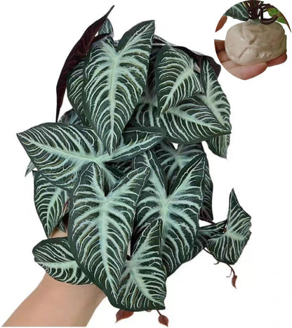 Reptile Plants for Terrarium Decor,Amphibian Habitat Decor,Artificial Plants for Gecko Chameleon Snake Tortoise Tank Accessories with Base (Monstera deliciosa) - Image 13