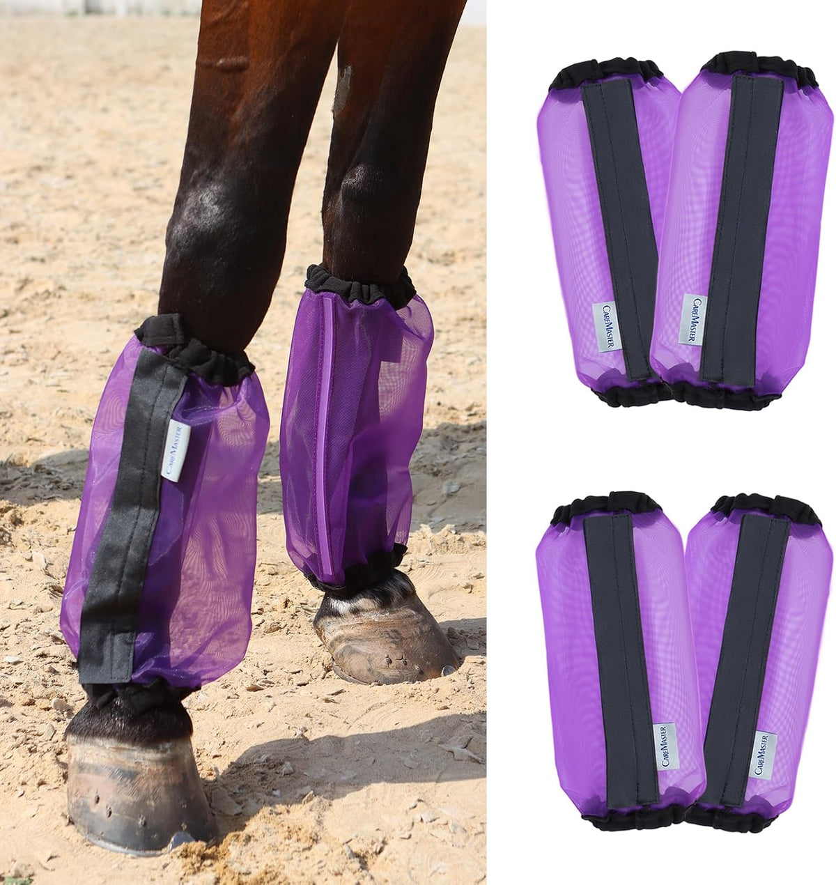 CareMaster mesh horse fly boots purple front view protecting equine lower leg.