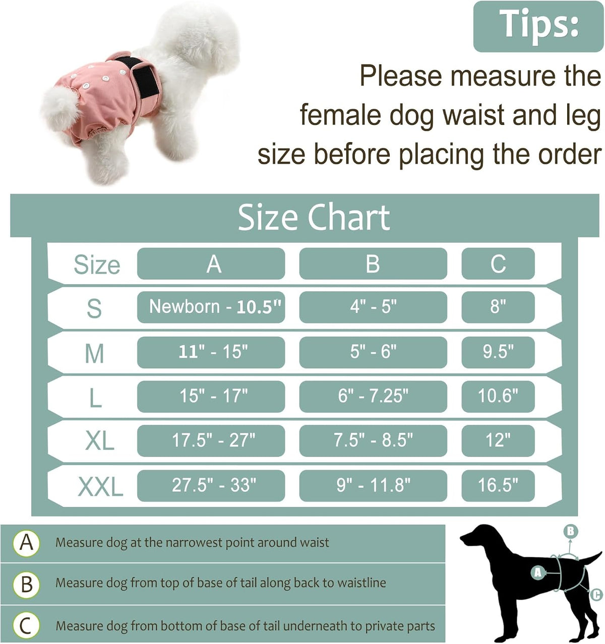 Grecle highly absorbent dog diapers female displaying the leak-free waterproof exterior shell design.