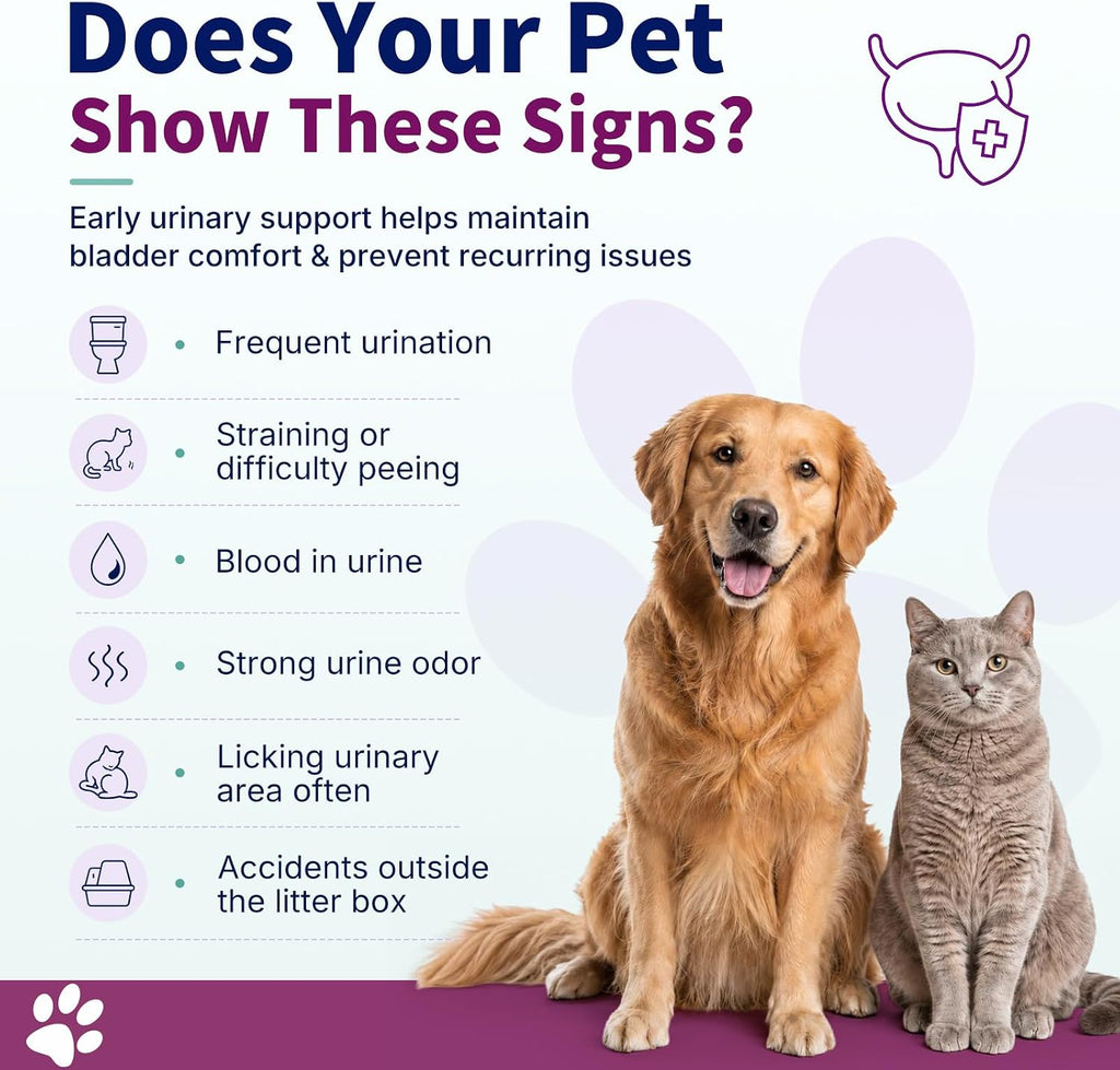 Natural UTI Treatment for Cats & Dogs - Antibiotic-Free Urinary Tract Infection Support Supplement - Bladder & Kidney Health - Incontinence Prevention - 30 Capsules - Image 2