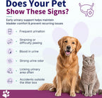 Natural UTI Treatment for Cats & Dogs - Antibiotic-Free Urinary Tract Infection Support Supplement - Bladder & Kidney Health - Incontinence Prevention - 30 Capsules - Image 2