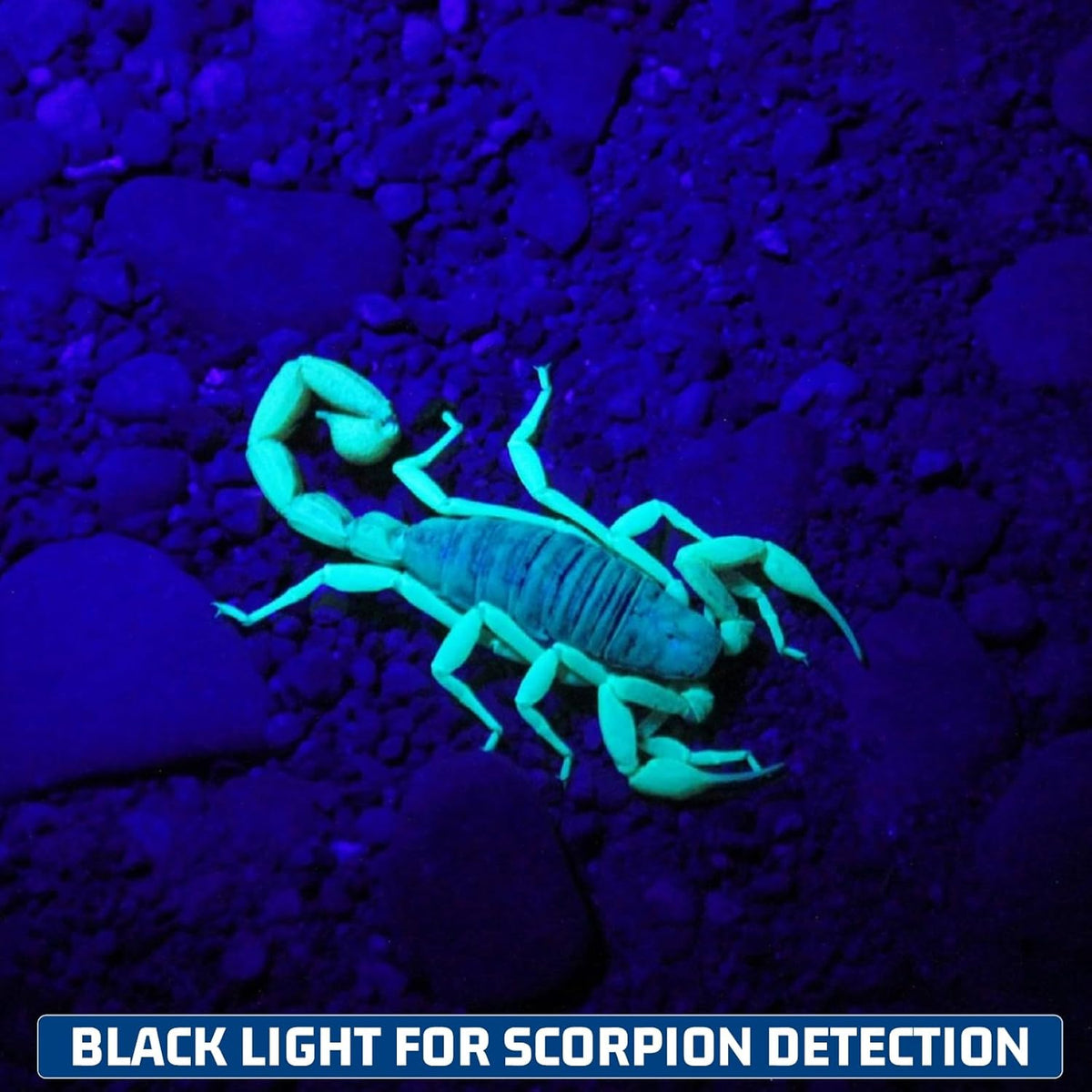 Close up view of the Lumenshooter S3U UV flashlight showing the USB-C charging port with its red and blue LED indicators.