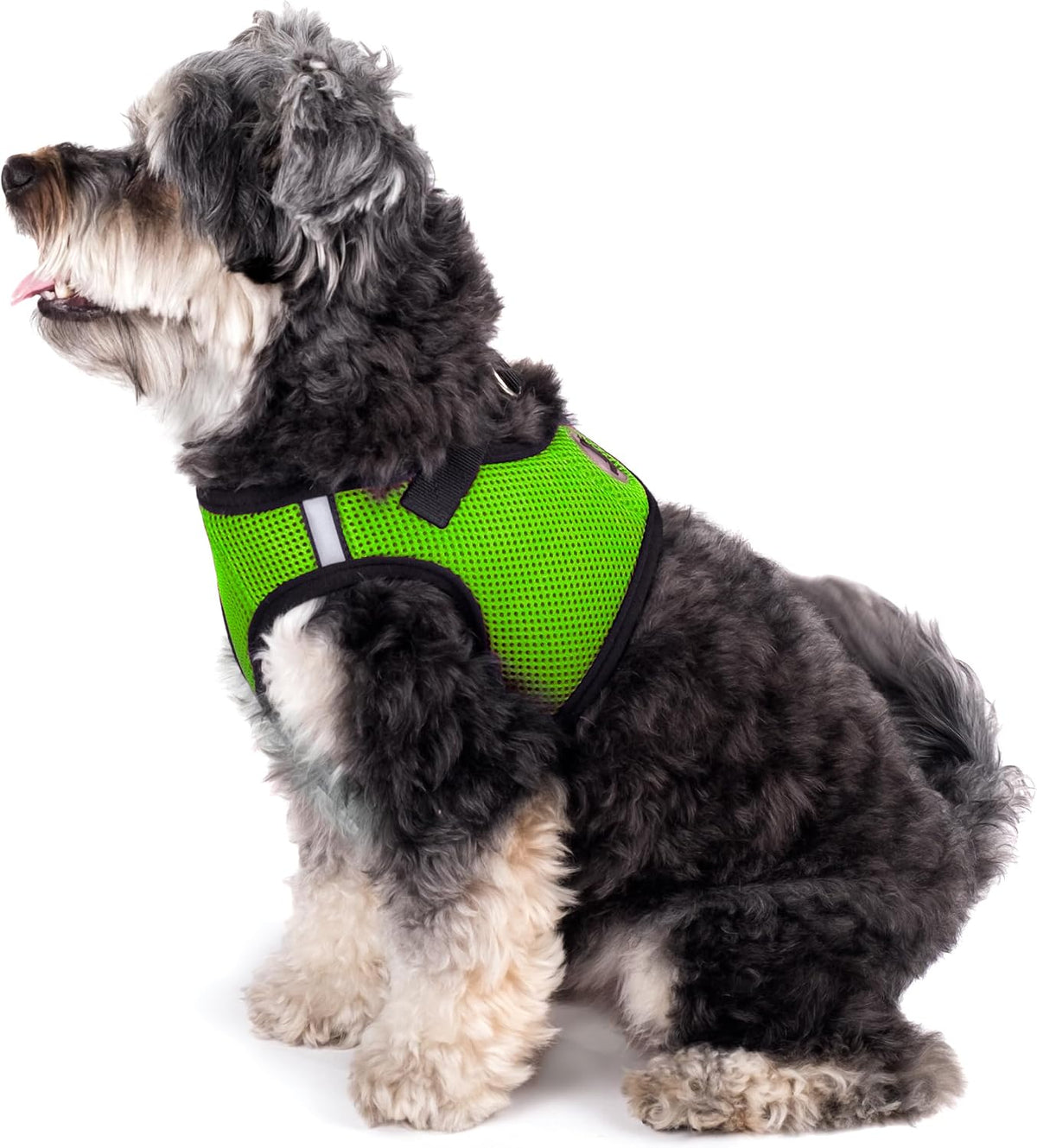 Lime green small dog harness showing breathable mesh texture