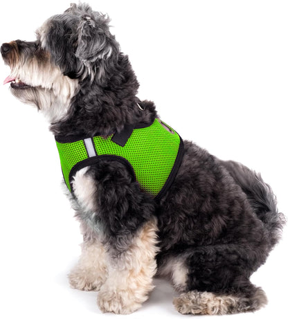 The Worthy Dog step-in harness reflective details