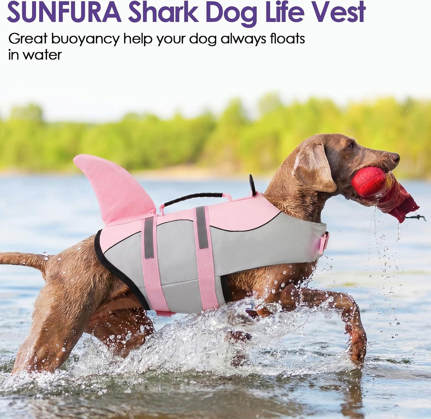 Bess Bridal water safety vest for large dogs premium imported gear