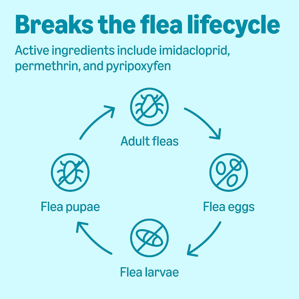 Six individual applicator tubes of Amazon Basics dog flea prevention treatment.
