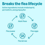 Six individual applicator tubes of Amazon Basics dog flea prevention treatment.