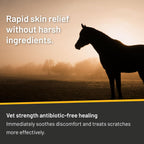Silver Honey spray bottle with horse care application details