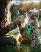 FAYOGOO imported premium pet vest harness for kittens and large cats