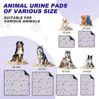 WanpeeGoo leakproof dog pad in a home setting
