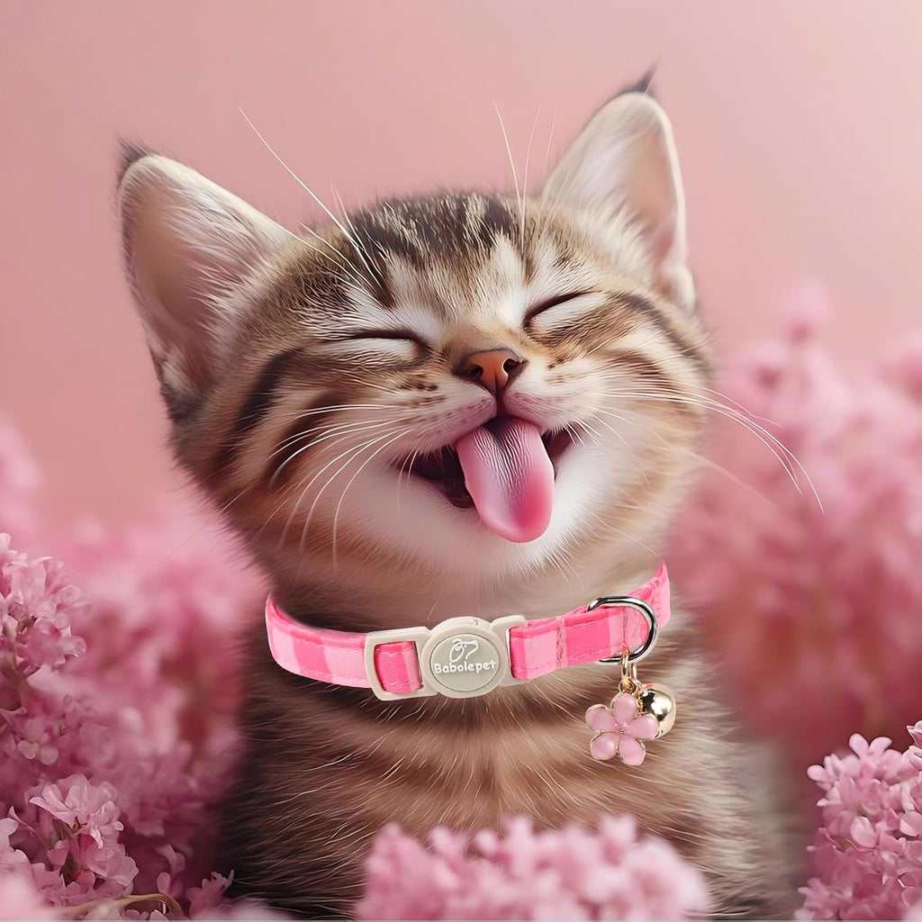 Removable flower pendant and silver bell accessory on pink kitten collar