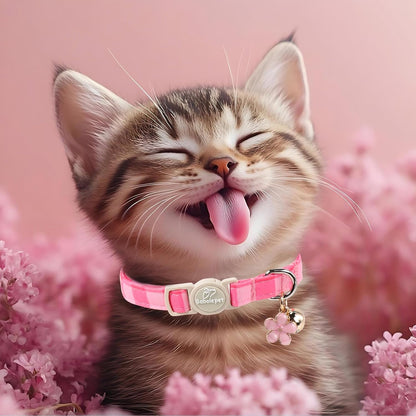 Removable flower pendant and silver bell accessory on pink kitten collar